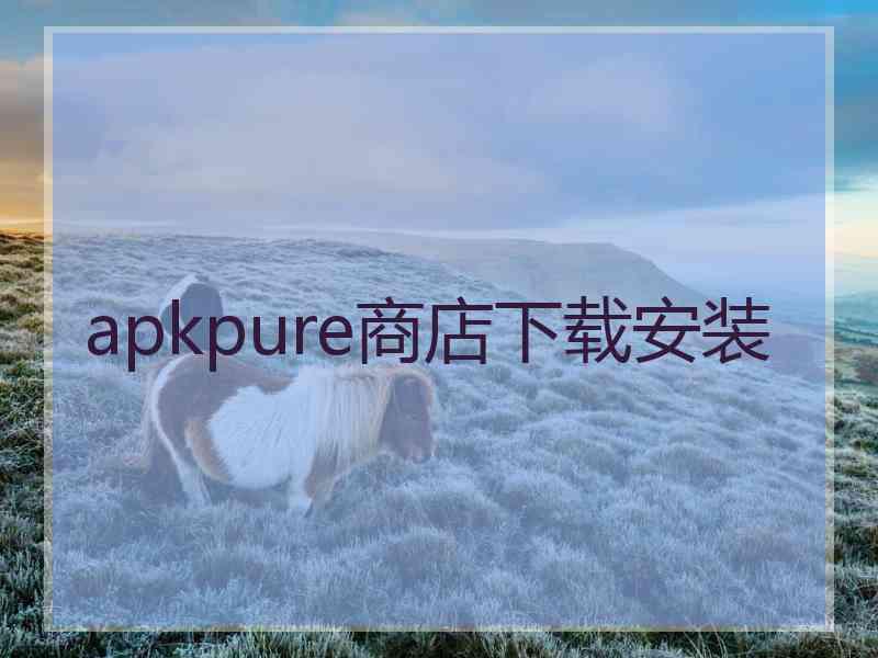 apkpure商店下载安装