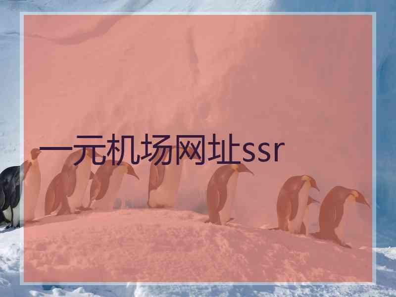 一元机场网址ssr