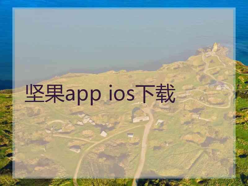 坚果app ios下载