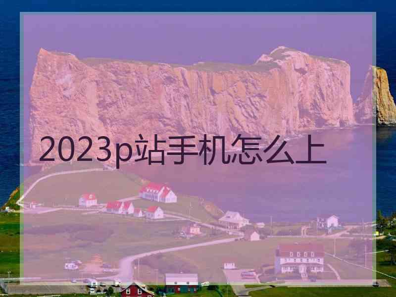 2023p站手机怎么上