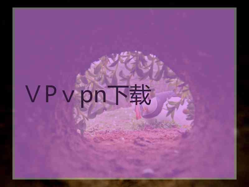 ⅤPⅴpn下载