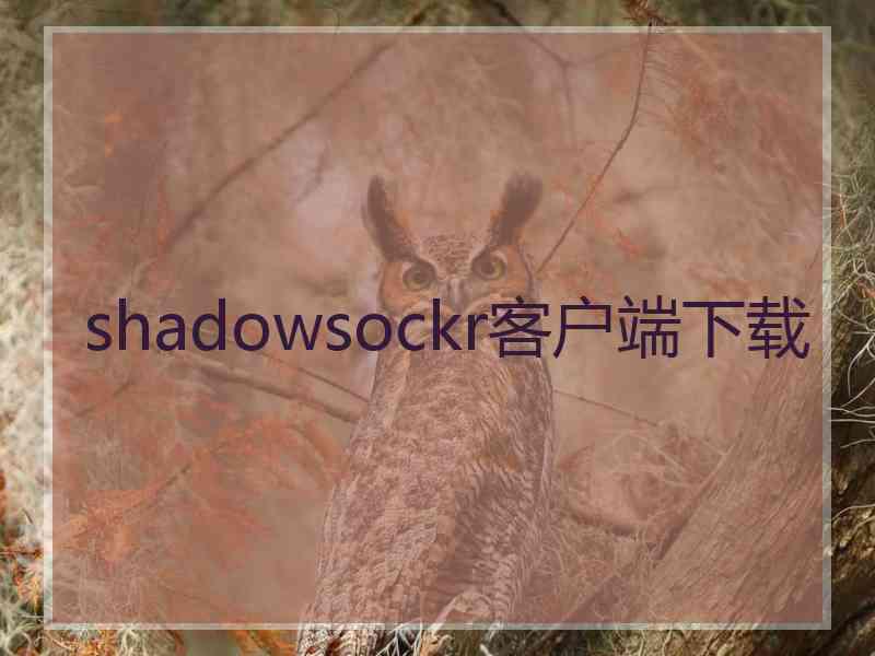 shadowsockr客户端下载