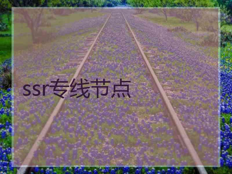 ssr专线节点