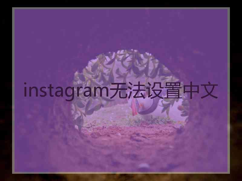 instagram无法设置中文