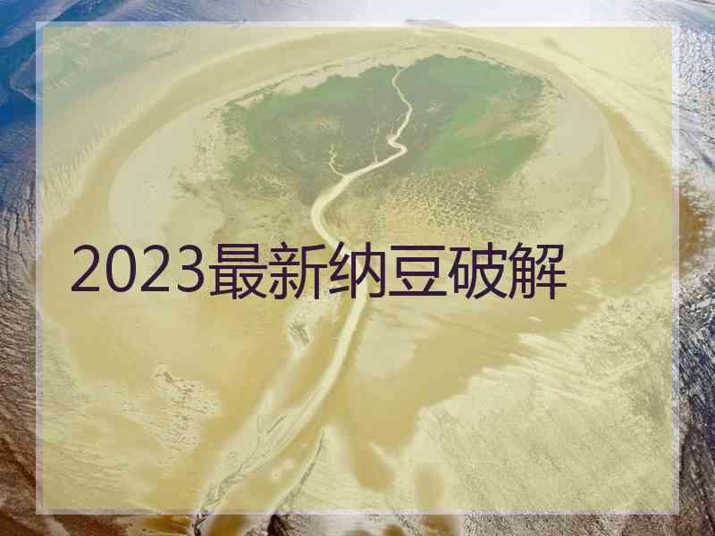 2023最新纳豆破解