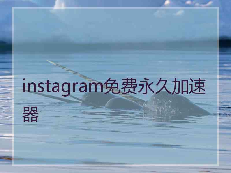 instagram免费永久加速器