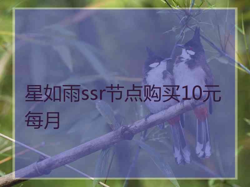 星如雨ssr节点购买10元每月