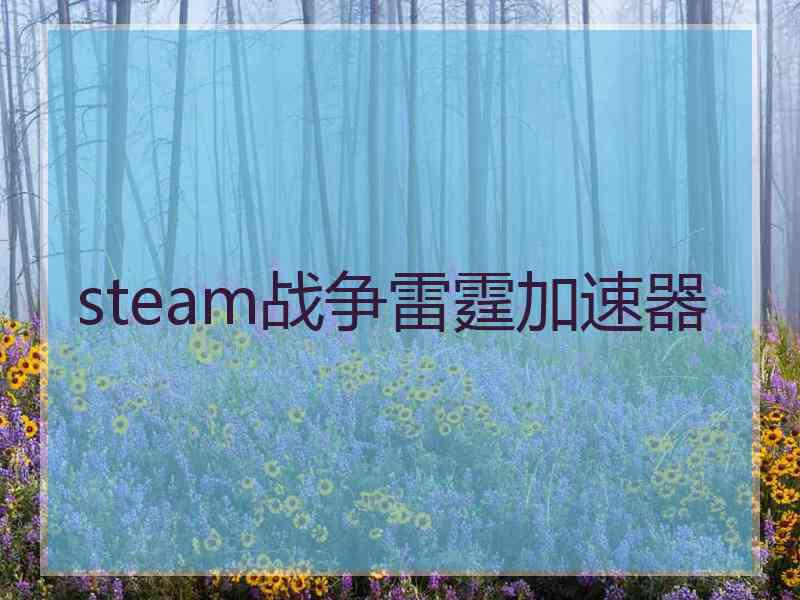 steam战争雷霆加速器