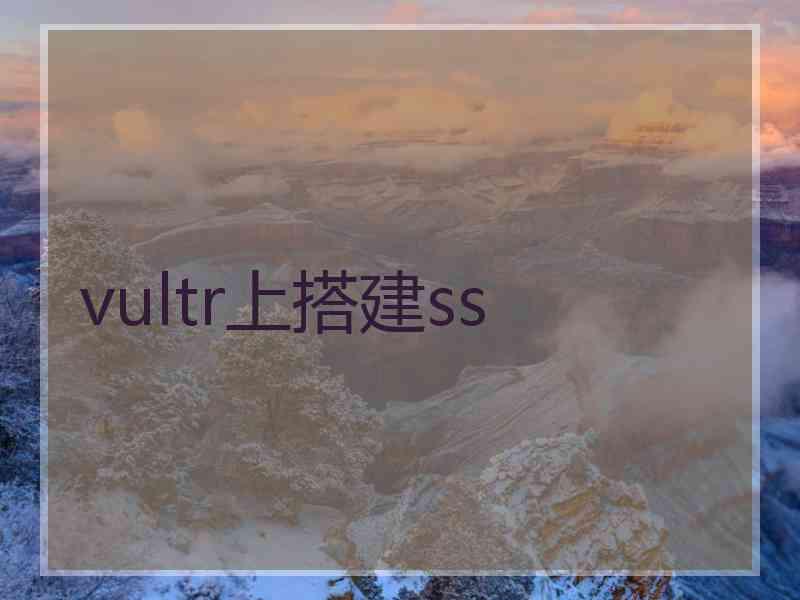 vultr上搭建ss