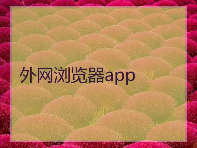 外网浏览器app