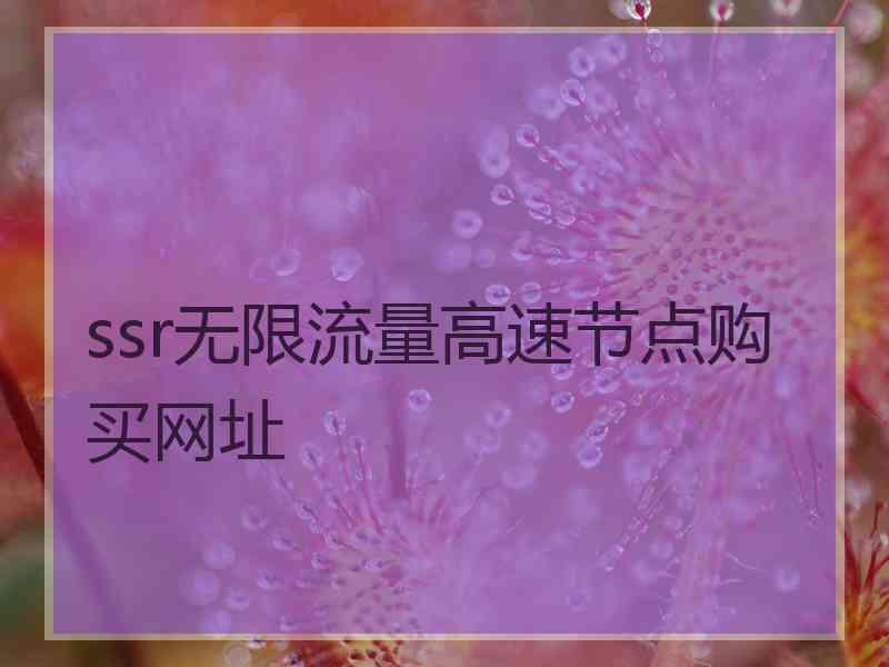 ssr无限流量高速节点购买网址