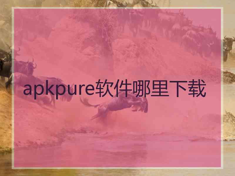 apkpure软件哪里下载