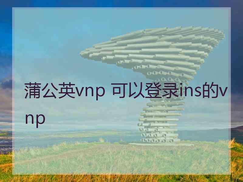 蒲公英vnp 可以登录ins的vnp