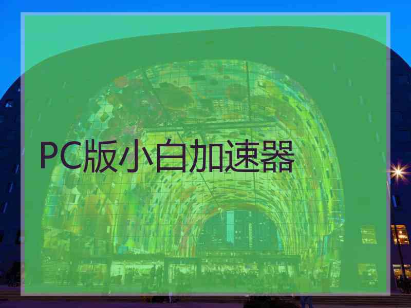 PC版小白加速器