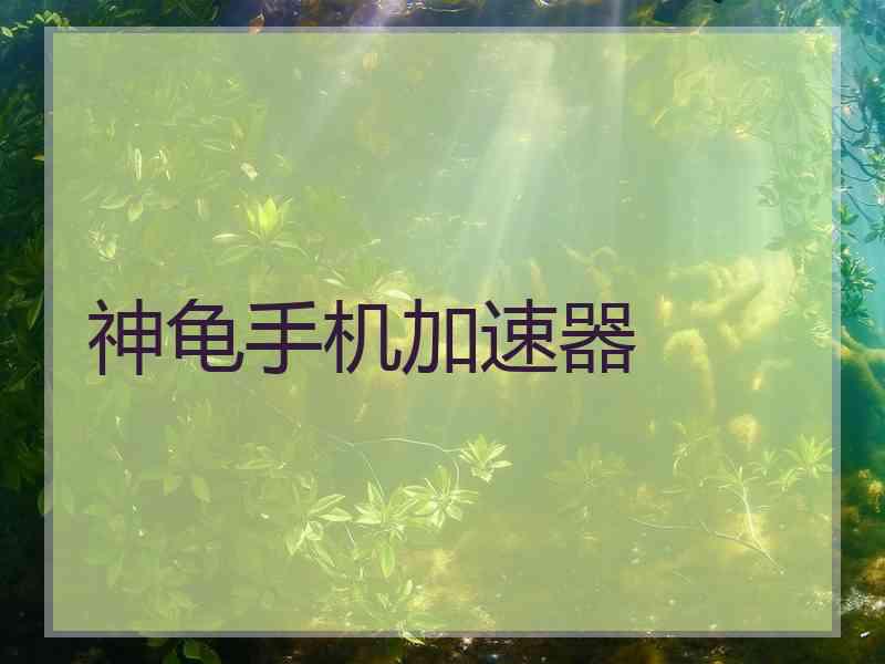 神龟手机加速器