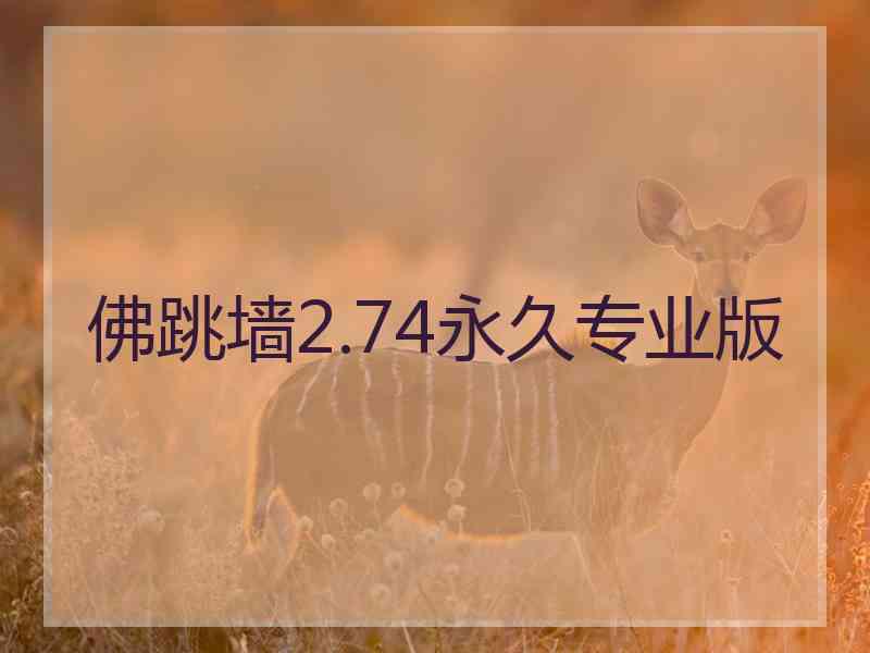 佛跳墙2.74永久专业版