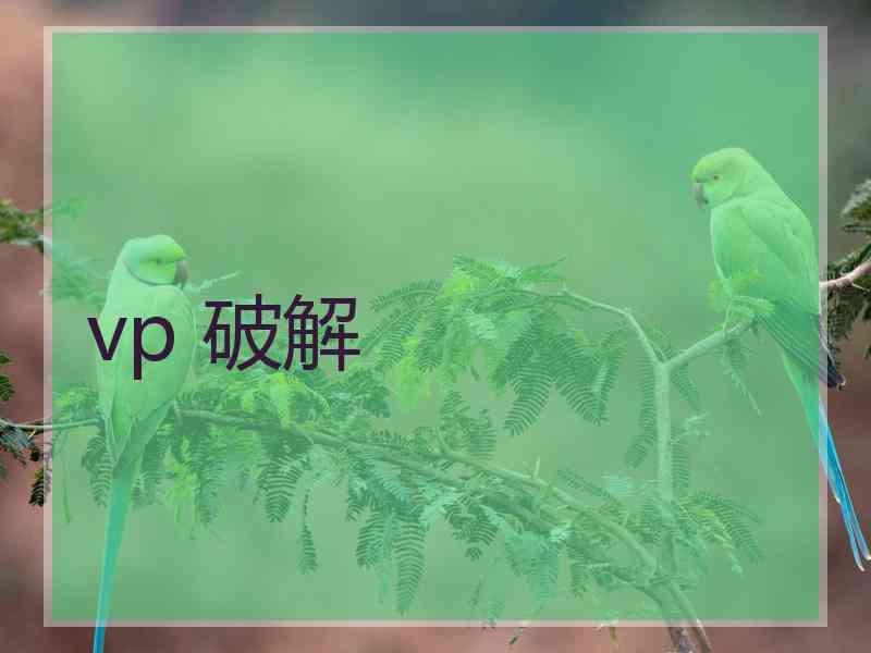 vp 破解