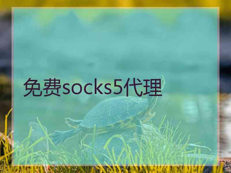 免费socks5代理