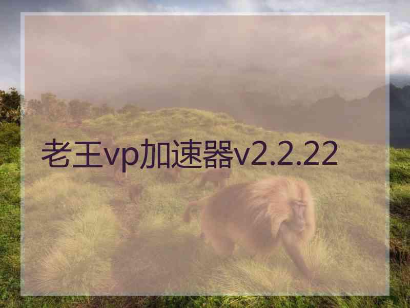 老王vp加速器v2.2.22