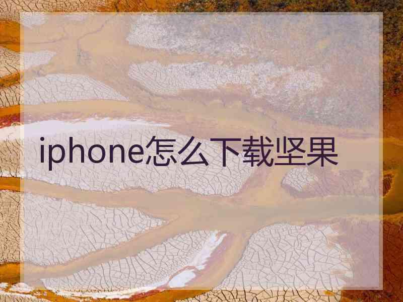 iphone怎么下载坚果