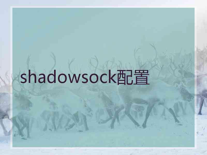 shadowsock配置