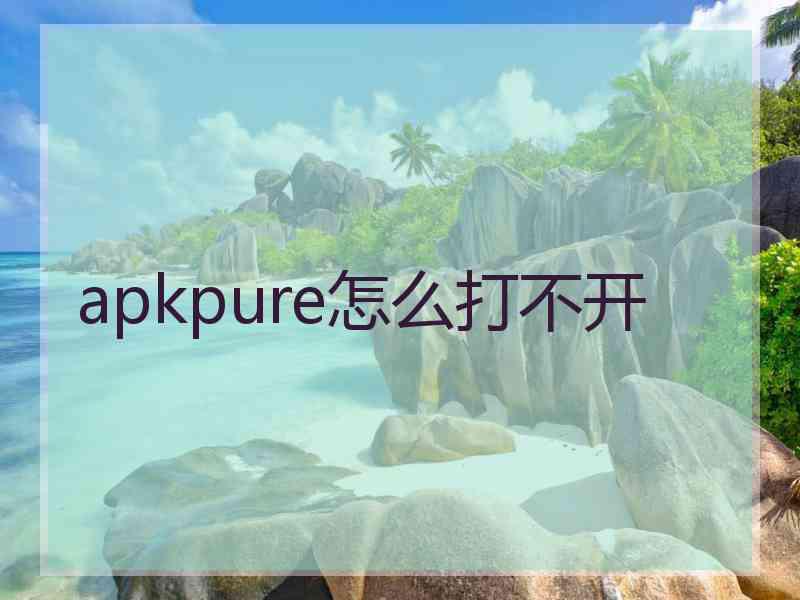 apkpure怎么打不开