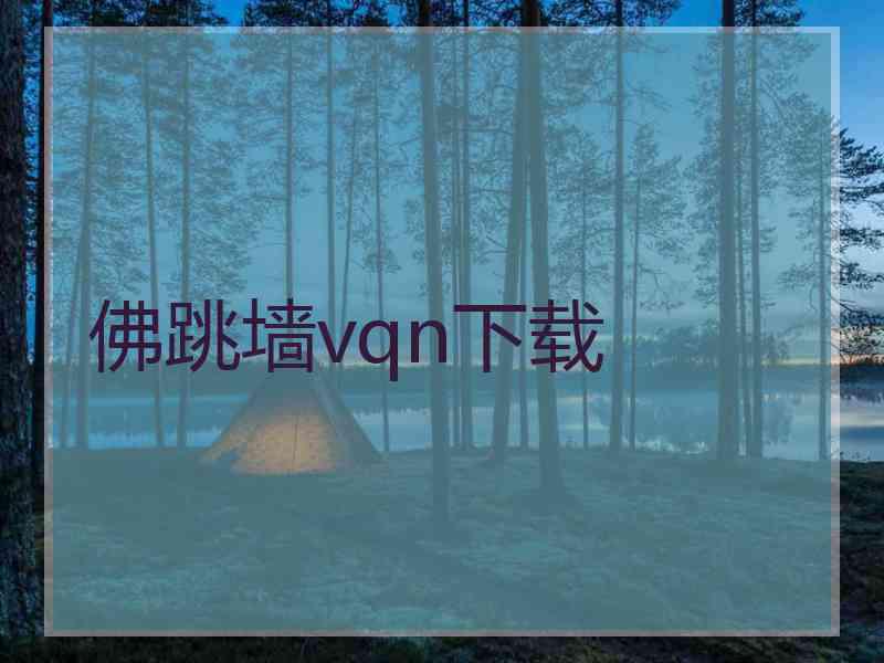 佛跳墙vqn下载