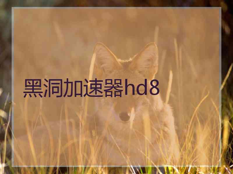 黑洞加速器hd8