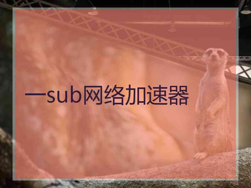 一sub网络加速器