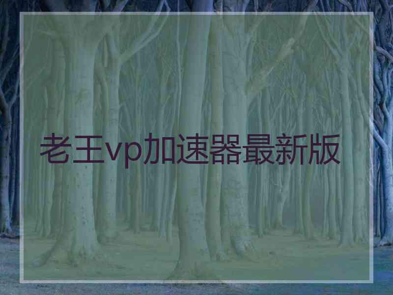 老王vp加速器最新版