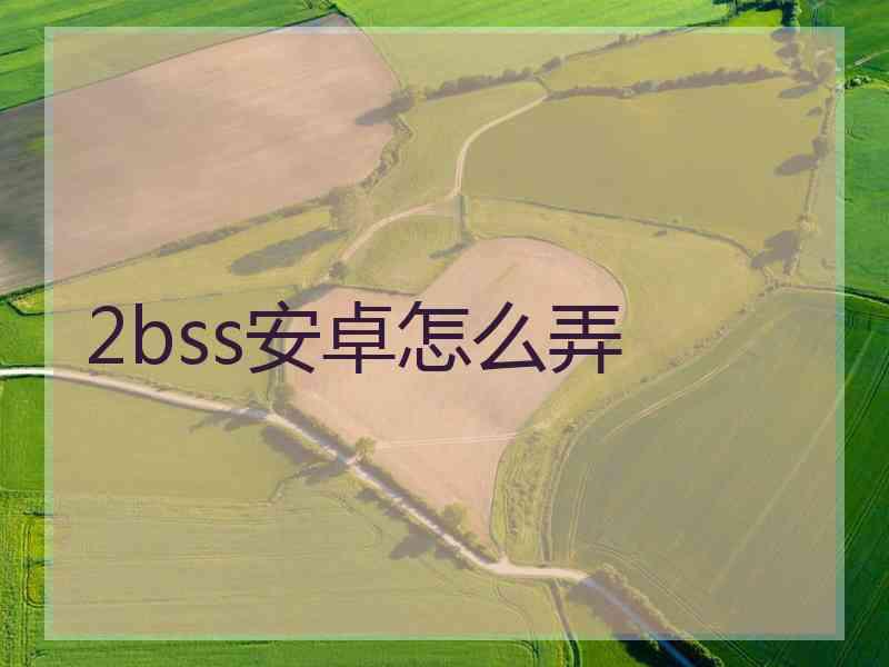 2bss安卓怎么弄