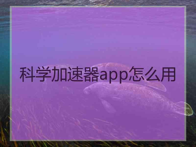 科学加速器app怎么用