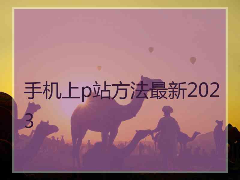 手机上p站方法最新2023