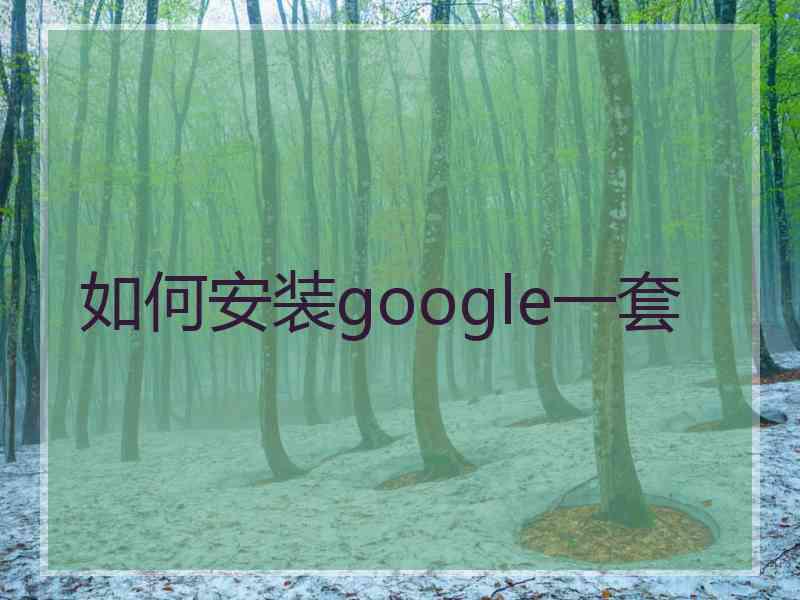 如何安装google一套