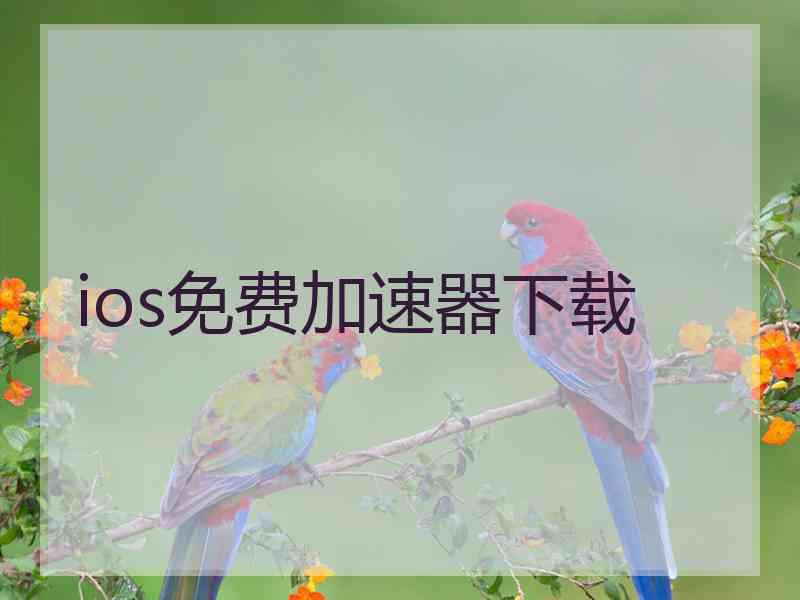 ios免费加速器下载