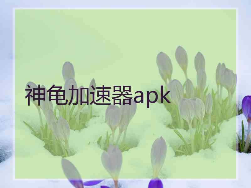 神龟加速器apk