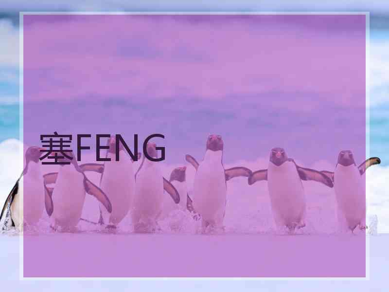 塞FENG