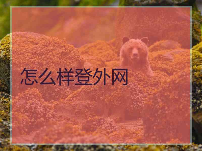 怎么样登外网