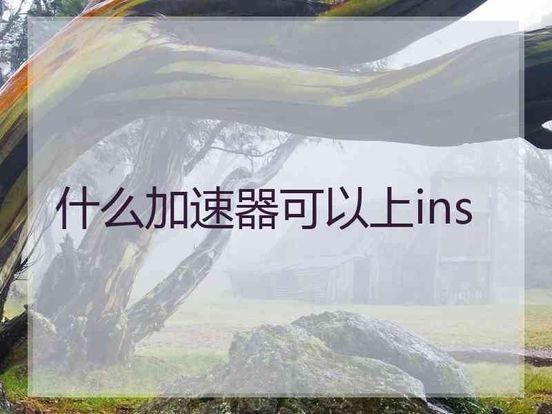 什么加速器可以上ins