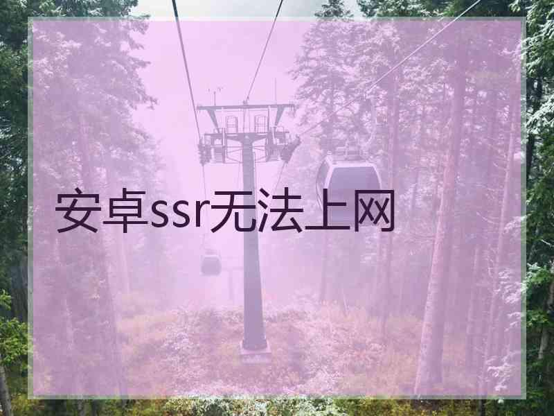 安卓ssr无法上网